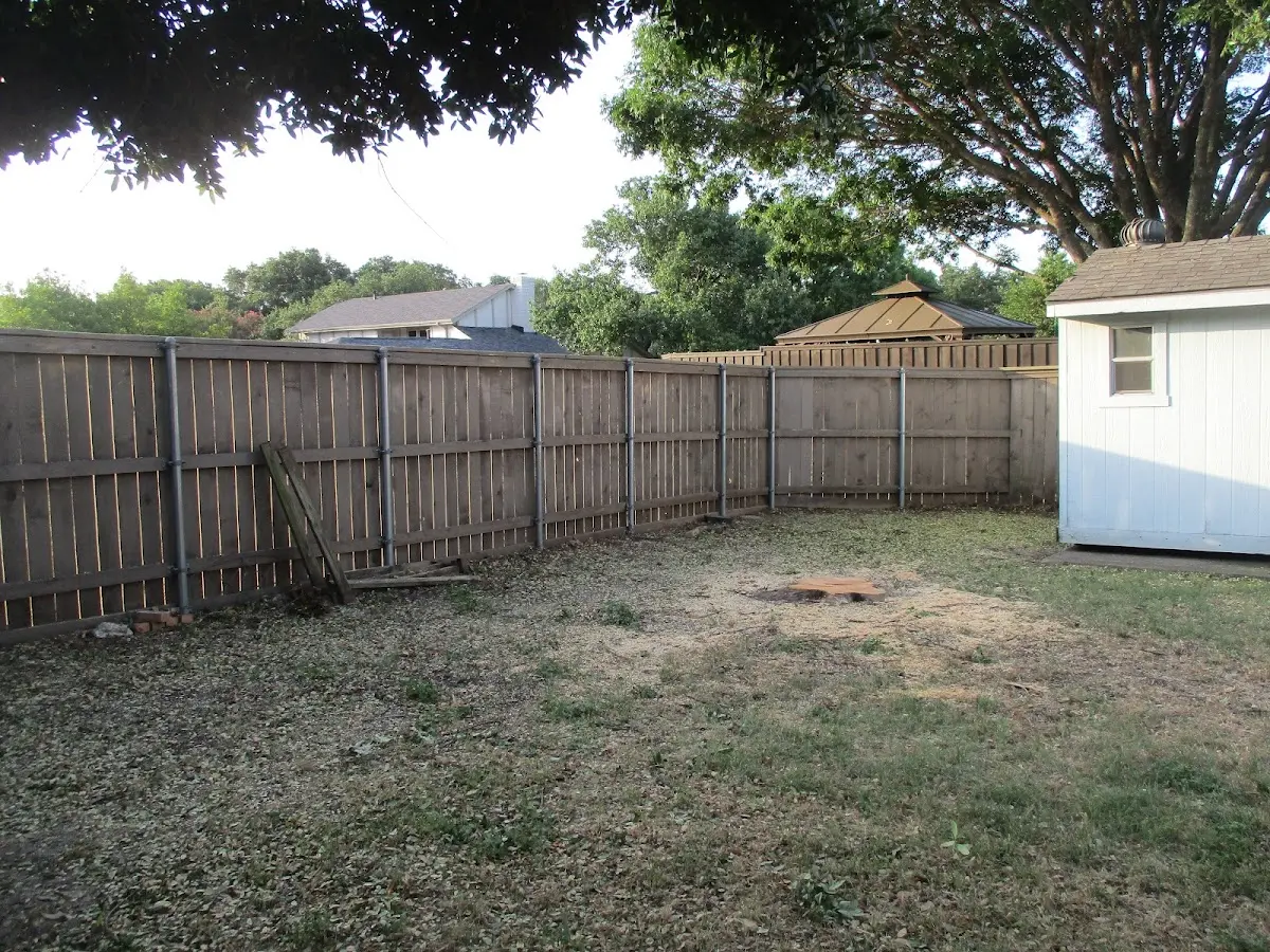 Cleared yard after professional tree removal in Lionville