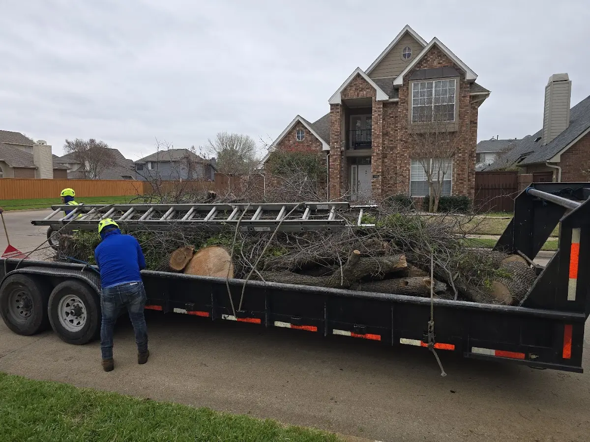 Expert Tree Removal with proper safety equipment in Lionville
